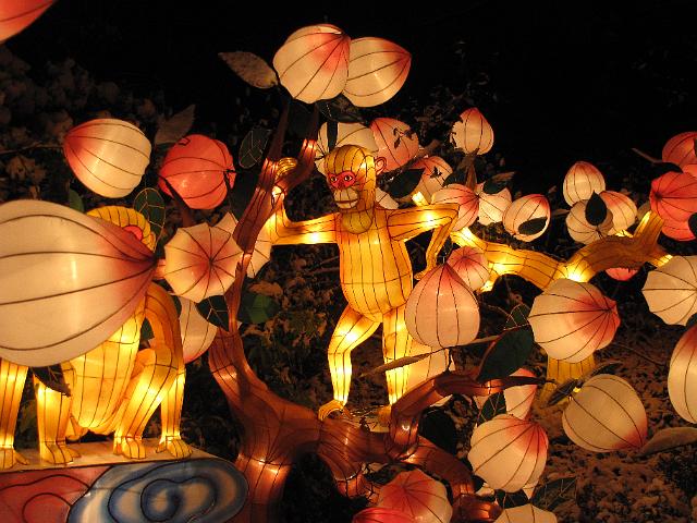 festival_of_lights_aap.JPG - Apen.