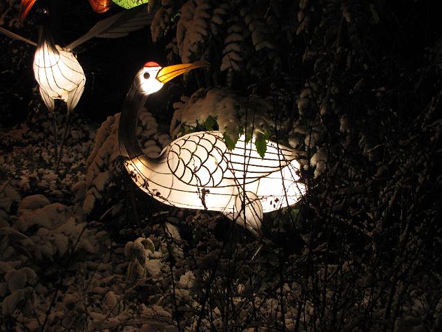 festival_of_lights_kraanvogel.JPG - Kraanvogel.