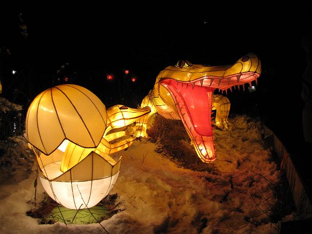 festival_of_lights_krokodil.JPG - Krokodil met jong.