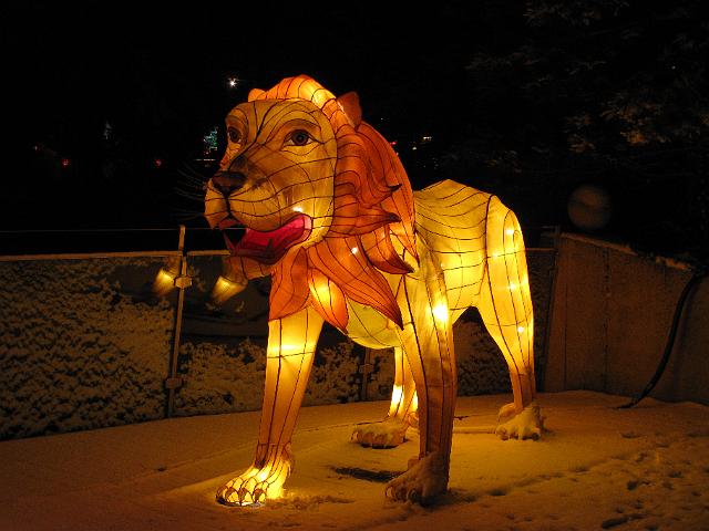 festival_of_lights_leeuw.JPG - Leeuw.