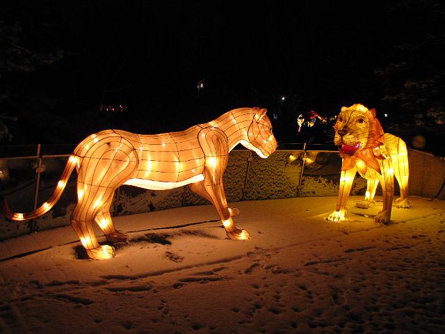 festival_of_lights_leeuwen.JPG - Leeuwen.