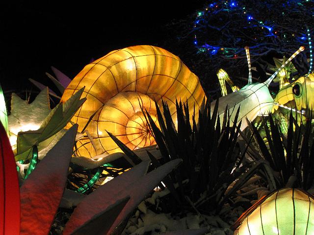 festival_of_lights_slak.JPG - Reuzenslak.