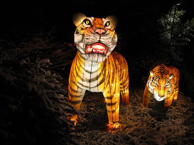 festival_of_lights_tijger.JPG - Twee tijgers.