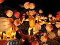 festival_of_lights_aap