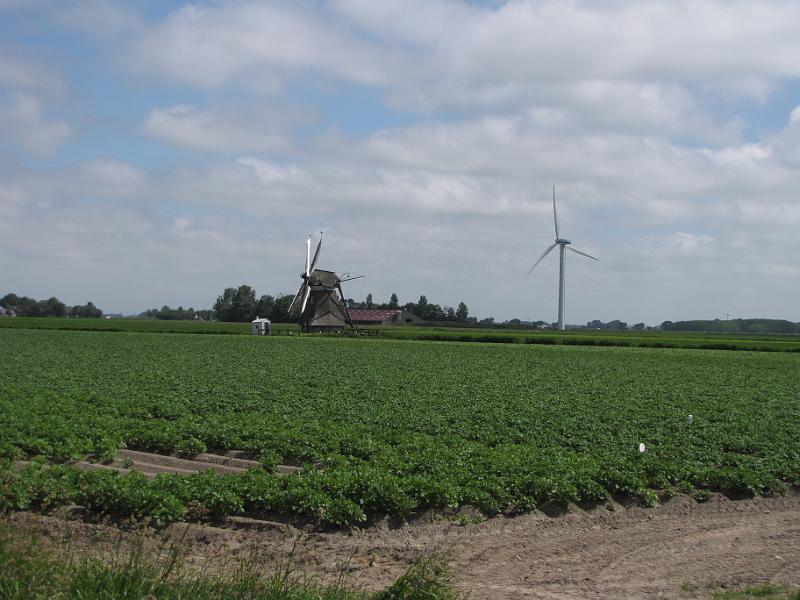 molen_de_eendracht.jpg - Velden vol aardappels en oude en nieuwe windenergie. De oude molen is "de Eendracht". Ik vermoed dat de nieuwe geen naam heeft.