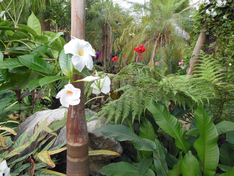 floriade01.jpg