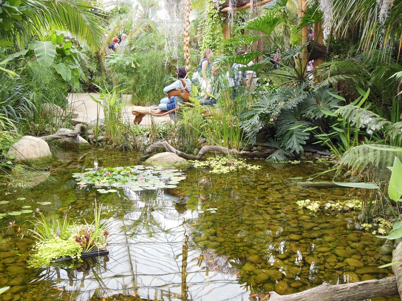 floriade04.jpg - In de grote kas "Tropical treasures" zijn prachtige waterpartijen en bloemen te zien.