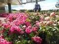 floriade09
