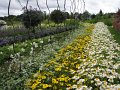 floriade11