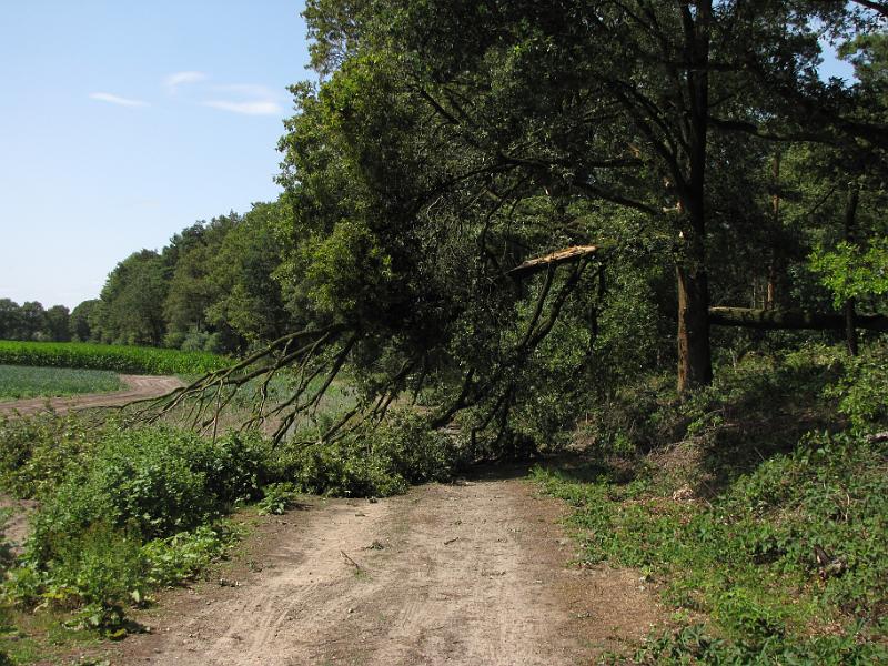 na_de_storm.jpg - Deze situatie komen we vandaag vaker tegen, bomen op ons pad. Afgelopen woensdag is er een onweersstorm over Nederland geraast (denk aan beelden in de krant van caravans in het water) en die heeft ook in midden Limburg aardig huisgehouden.