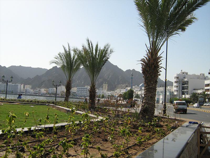 d1_muscat_haven.jpg - Inger neemt ons mee voor een kennismaking met Muscat. Hier een foto van de haven.