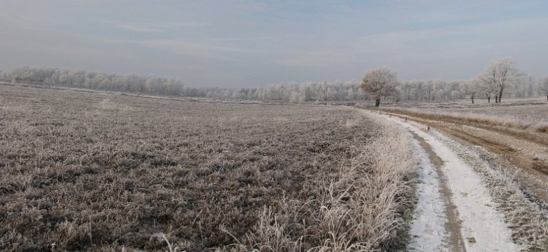 balloerveld.jpg - Panoramafoto van het Balloërveld.